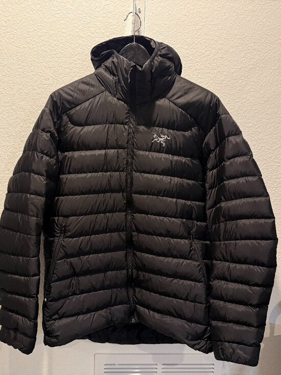 Arc'teryx Other - Arc'Teryx Cerium Down Hoody - Men's